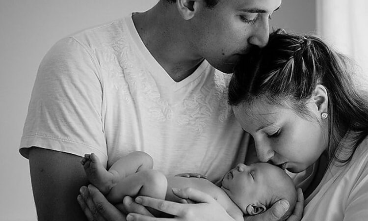 Групповая нервная система и групповое психическое. Часть 2