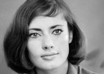 Групповая нервная система и групповое психическое. Часть 2