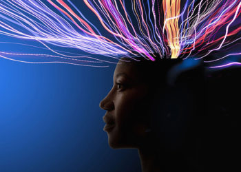 Групповая нервная система и групповое психическое. Часть 1.