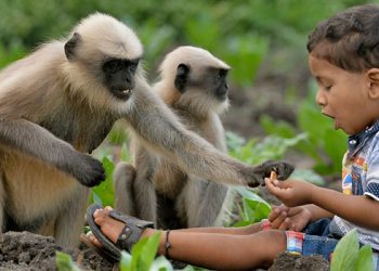 Системное понимание семьи: семейная система, системные связи и их позитивная основа