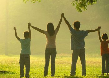 Системное понимание семьи: семейная система, системные связи и их позитивная основа