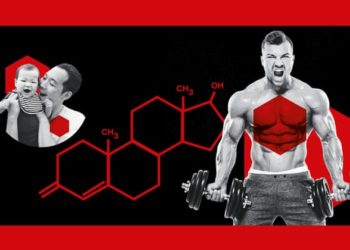 Абсурдность темы о тестостероне, мужчинах и агрессии