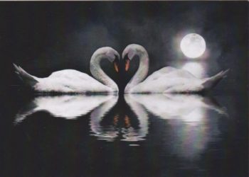 Как возникает Вечная Любовь. Часть 2.